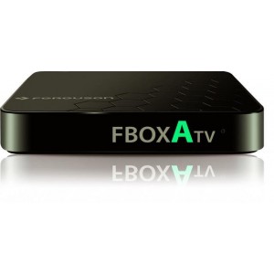 FERGUSON FBOX ATV